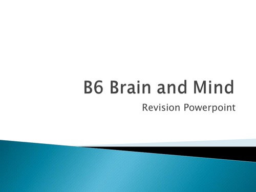 B6 Revision Lessons; nervous system