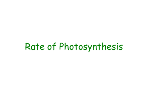B4 Rate of Photosynthesis