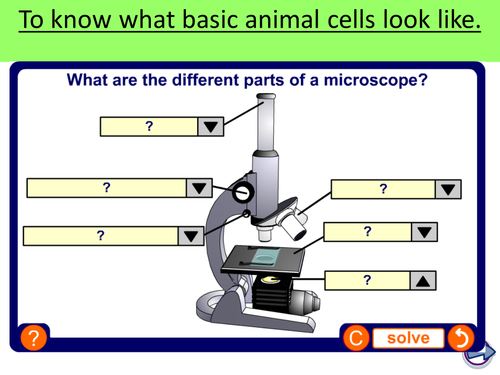 Animal cells | Teaching Resources