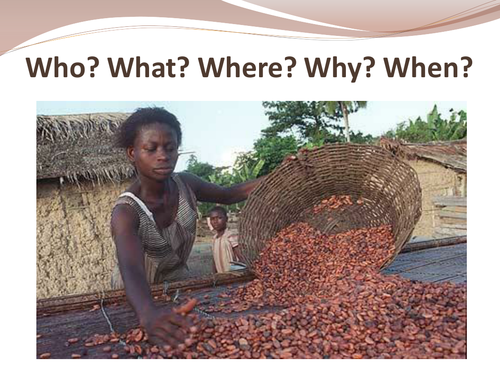 Ghana's Black Gold - Cocoa