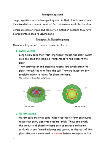 Transpiration in plants