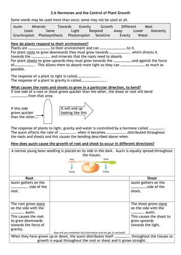 AQA B1 2.6 Plant hormones | Teaching Resources