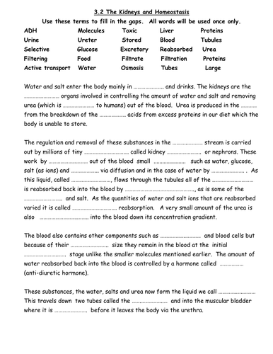 Worksheet Homeostasis Worksheet homeostasis worksheet with answers delwfg com aqa b3 3 2 kidneys and by littlemissscience teaching