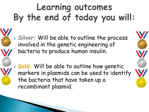 Genetic Engineering Human Insulin