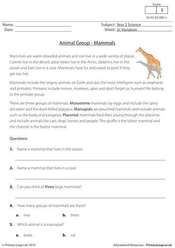 KS1 Science resource: Variation - Mammals