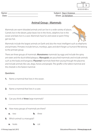 KS1 Science resource: Variation - Mammals | Teaching Resources