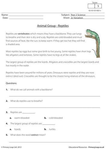 KS1 Science resource: Variation - Reptiles