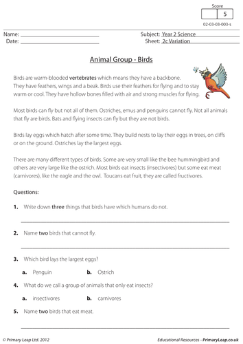 KS1 Science Resource Variation Birds