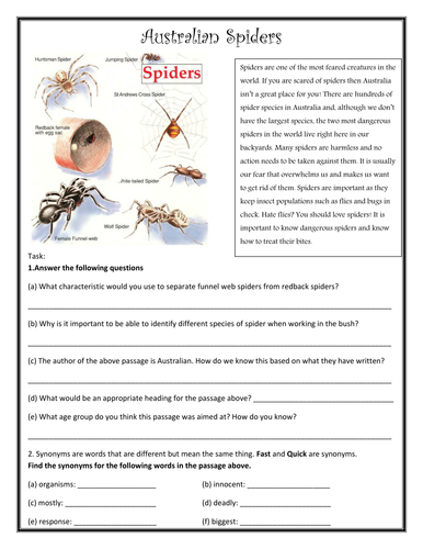 Spiders in Australia. Invertebrate Classification.