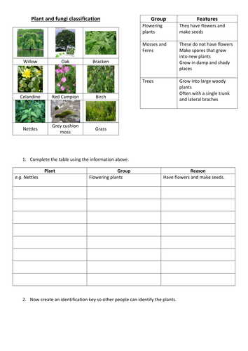 Printables Plant Classification Worksheet plant classification by fjefferies123 teaching resources tes