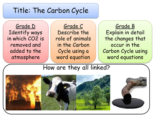 The Carbon Cycle