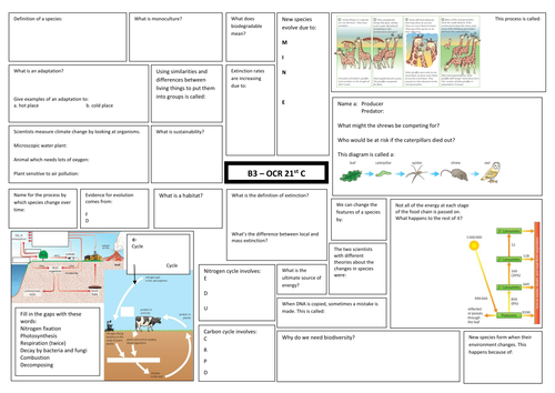 OCR 21st century B3 revision worksheet