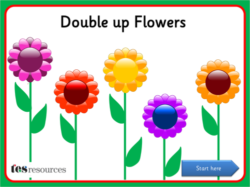 Double up - Flowers