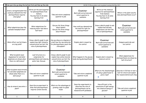 Learning grid Photosynthesis IGCSE Edexcel