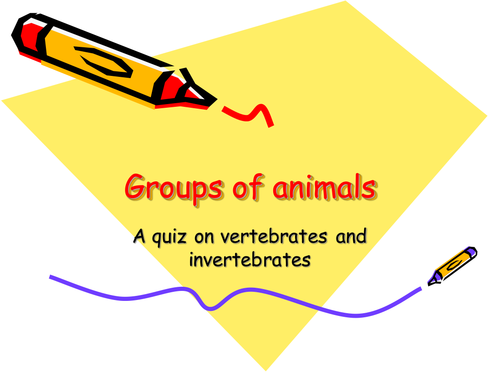 animal classification quiz