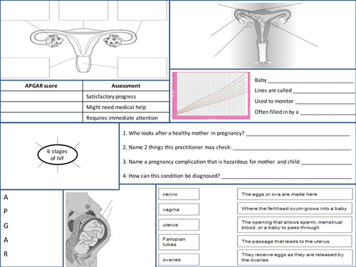 OCR Additional Applied Science A2 - Healthcare