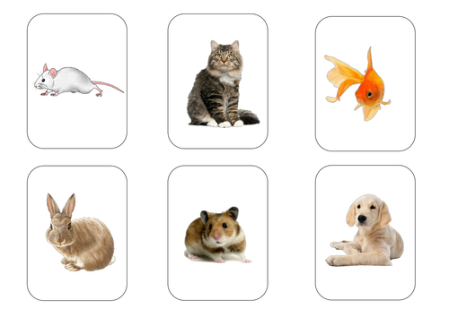 French: Animals - matching pairs game