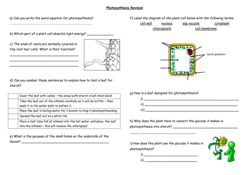 Photosynthesis Revision Lesson