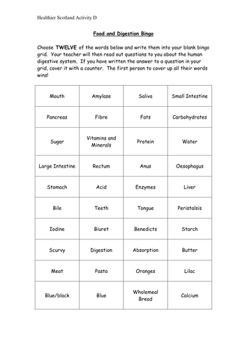 Food and Digestion Bingo