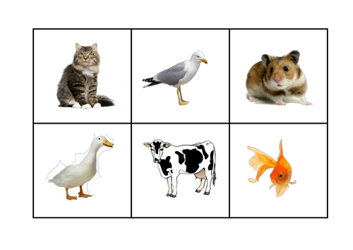 French - Animal Lotto | Teaching Resources