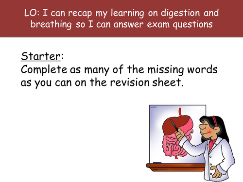 Digestion, Breathing & Respiration Mindmap
