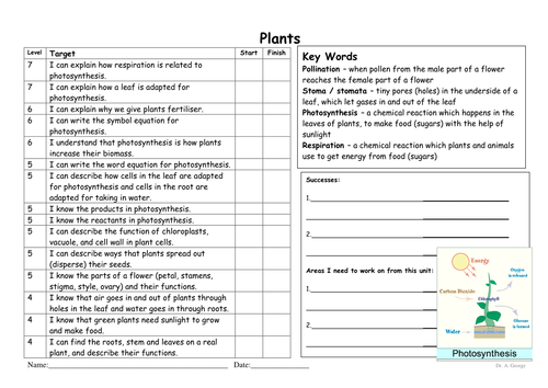 Essay on the topic each one plant one 06 image