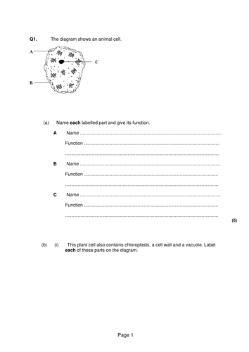 Biology Unit 2 Exam Style Questions Mark Scheme Teaching Resources