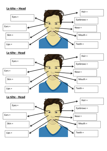 French: Label the Parts of the Head
