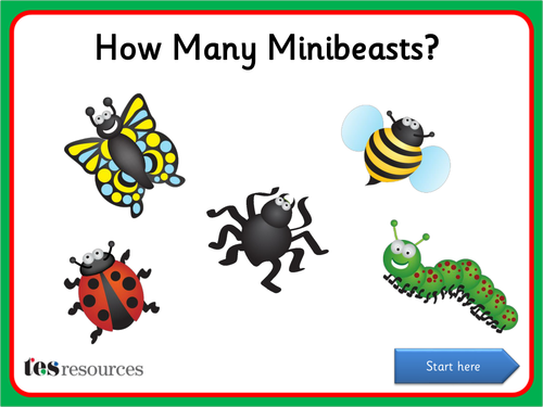 How Many Minibeasts? IWB activity