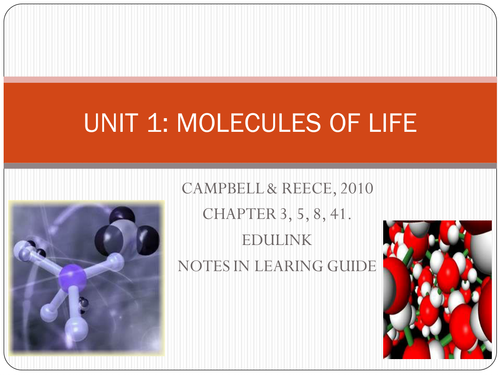 KS4 Biology Molecules of life | Teaching Resources
