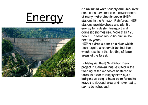 Uses of rainforests cards