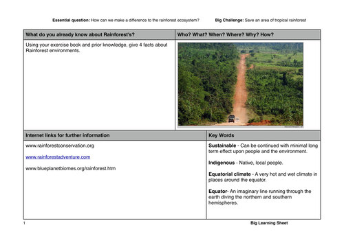 Amazon rainforest future decision making lesson