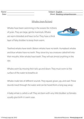 Reading comprehension: Whales (non-fiction)