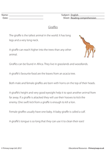 Reading comprehension: Giraffes (non-fiction)