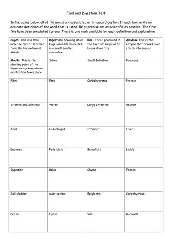 Food and Digestion KS4 test and suggested answers
