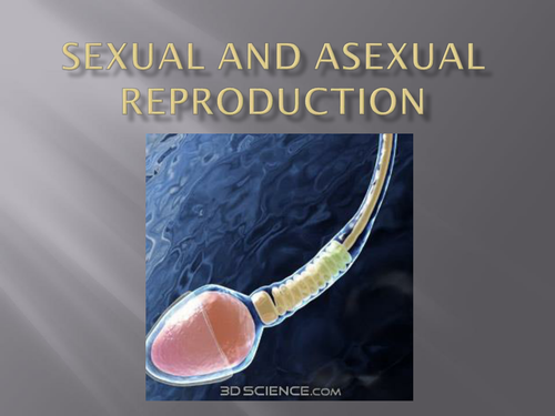B1 6.2 Sexual and Asexual Reproduction