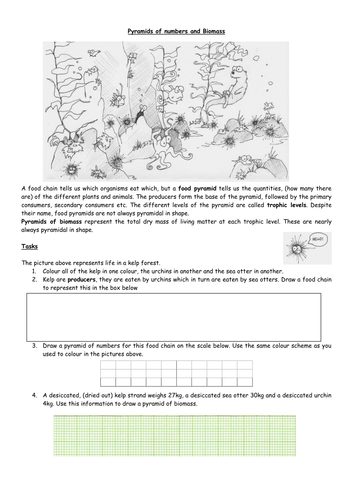 b1-5-1-pyramids-of-biomass-teaching-resources