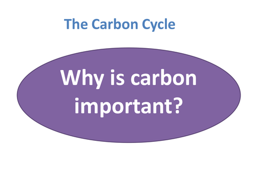 B1 5.4 Carbon Cycle