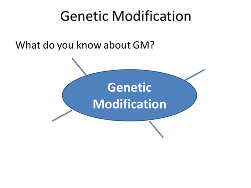 B3 Genetic Modification