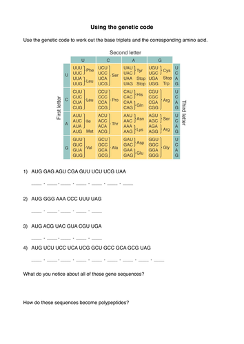 Nova cracking the code worksheet