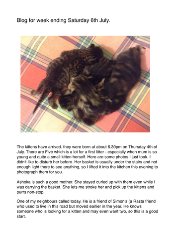 RE Blog for June 2013