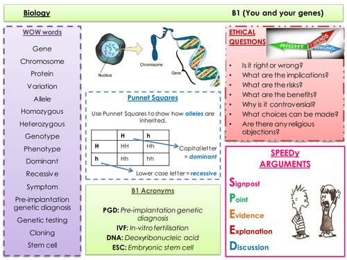 B1 literacy mat (OCR 21st Century)