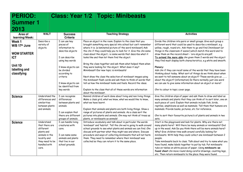 Minibeast Topic Plan