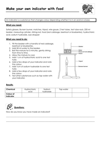 Red cabbage indicator worksheet