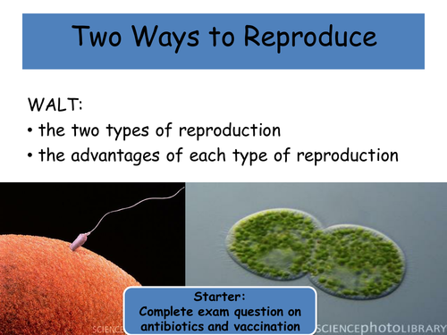 Sexual vs asexual reproduction