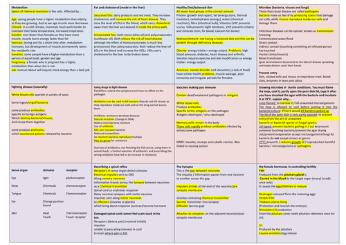 essay structure year 10