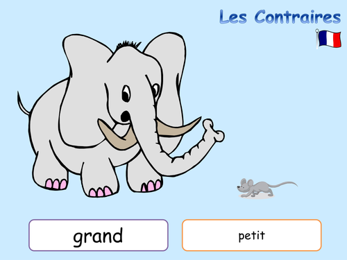 opposites-display-work-in-french-for-ks2-ks3-teaching-resources