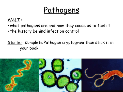 Pathogens and history of infection control