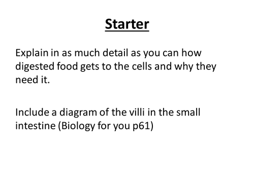 Respiratory System | Teaching Resources