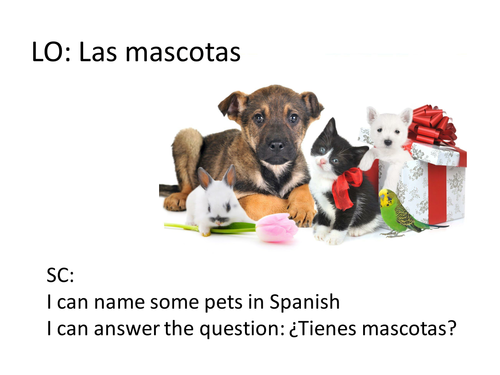 Las mascotas - Pets in Spanish as calligrams
